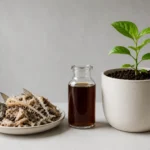 Phụ phẩm cá được chuyển hóa thành dịch đạm cá để bổ sung dinh dưỡng cho cây trồng