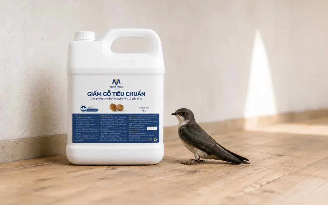 Bốn cơ chế giúp giấm gỗ kiểm soát môi trường nhà yến