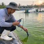 Người nuôi tôm đang đo chất lượng nước bằng máy cầm tay tại ao nuôi có nước xanh và hệ thống quạt nước đang vận hành.